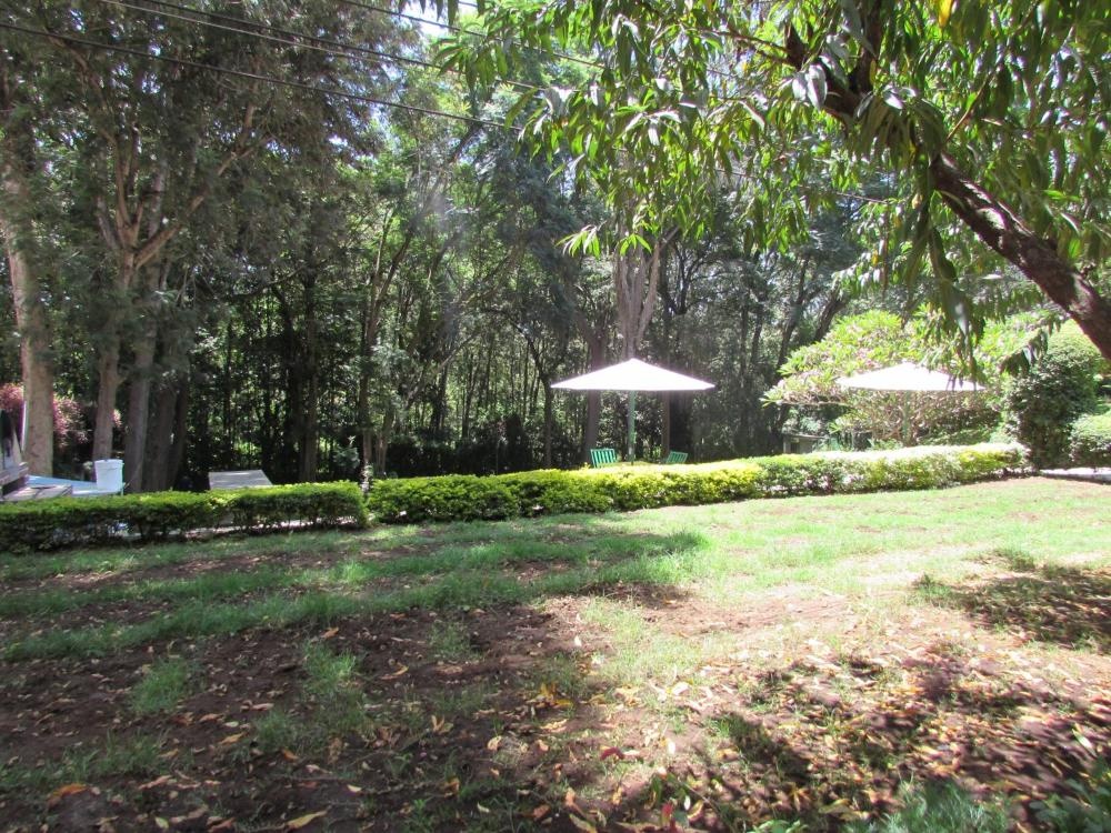 The Equator Hotel Image 24