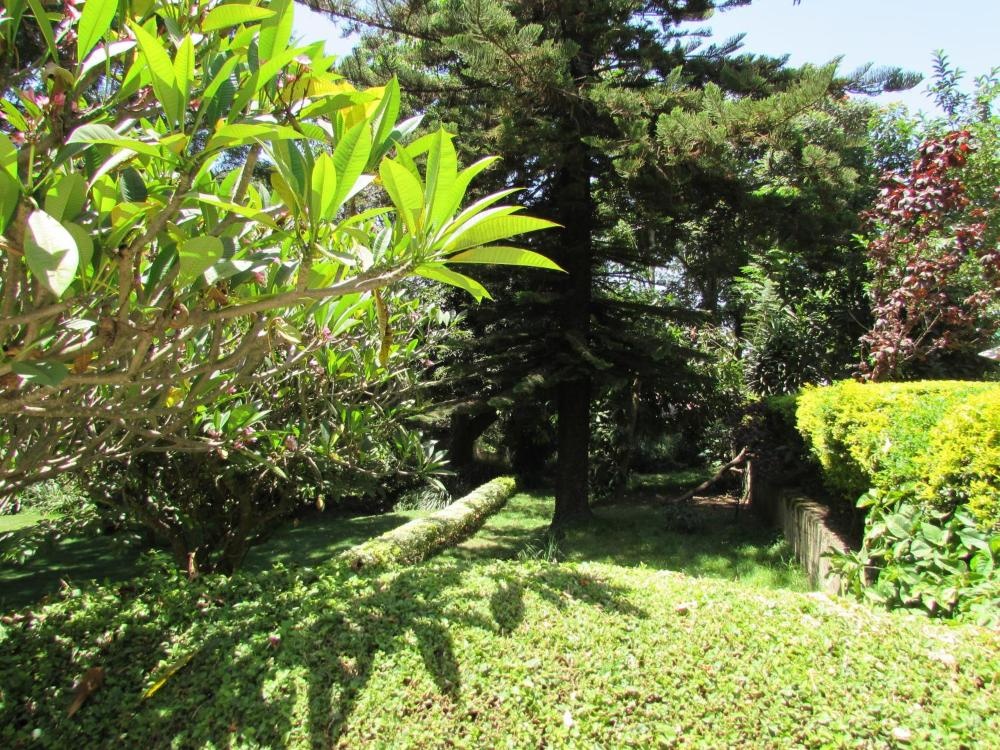 The Equator Hotel Image 34